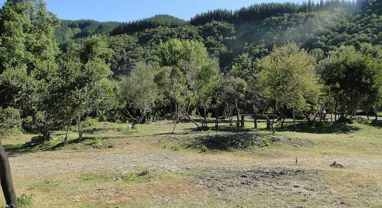 Fotografía 2 de Camping Aguas Cálidas en Linares, Maule