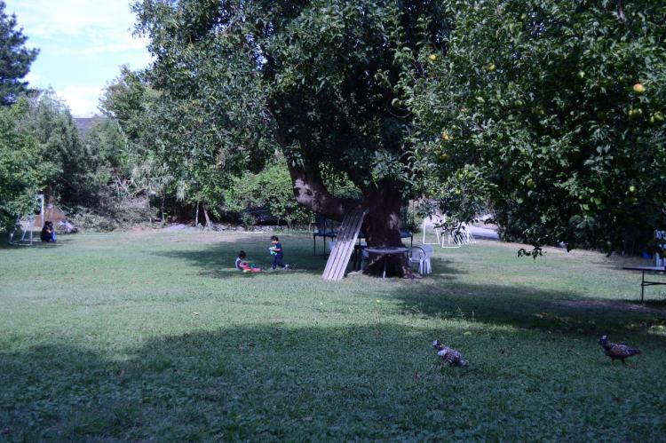 Fotografía 4 de Camping Complejo Turístico Valshi en San Clemente, Maule