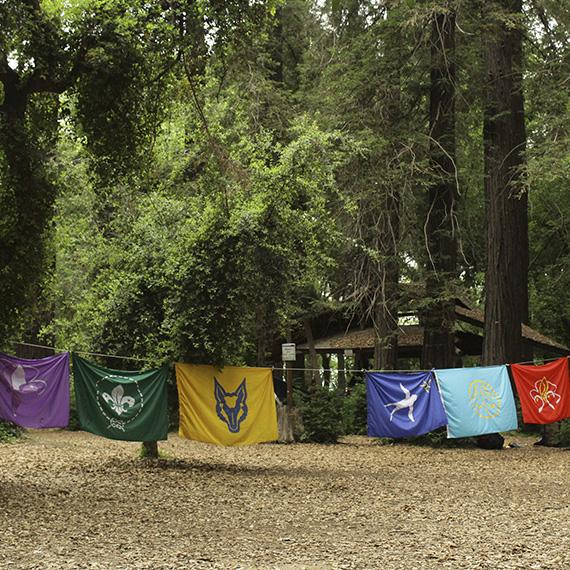 Fotografía 5 de Camping Campo Escuela de Callejones en Graneros, Ohiggins