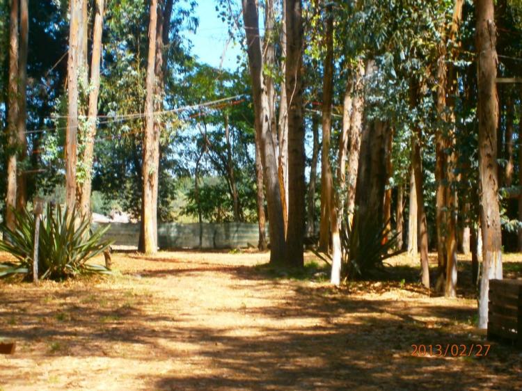 Fotografía 20 de Camping Achiquegueno en Linares, Maule