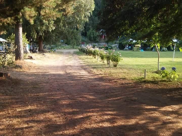 Fotografía 19 de Camping Complejo Turistico Salto El Leon en San Clemente, Maule