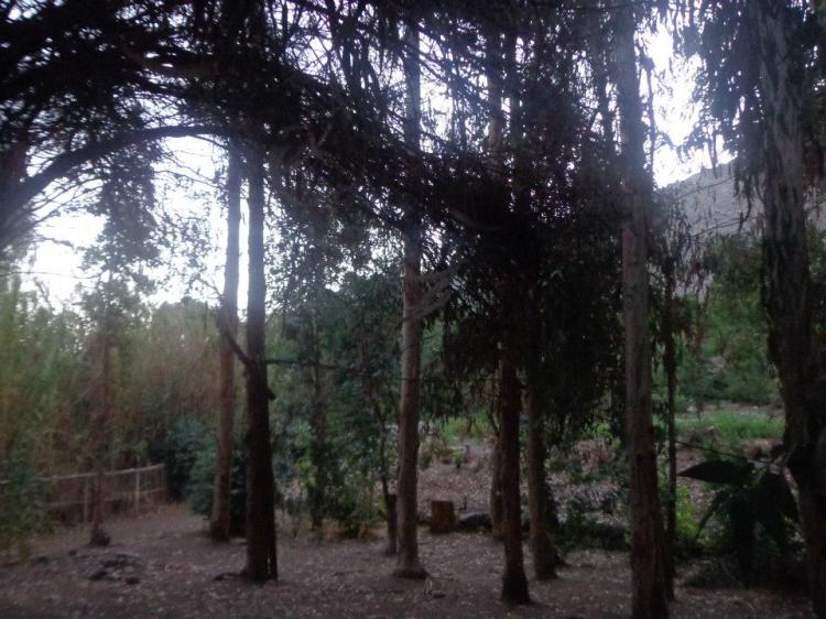 Fotografía 9 de Camping Crucecita en Alto Del Carmen, Atacama