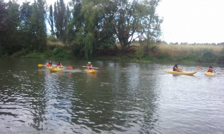 Fotografía 5 de Camping Raiguen en Linares, Maule