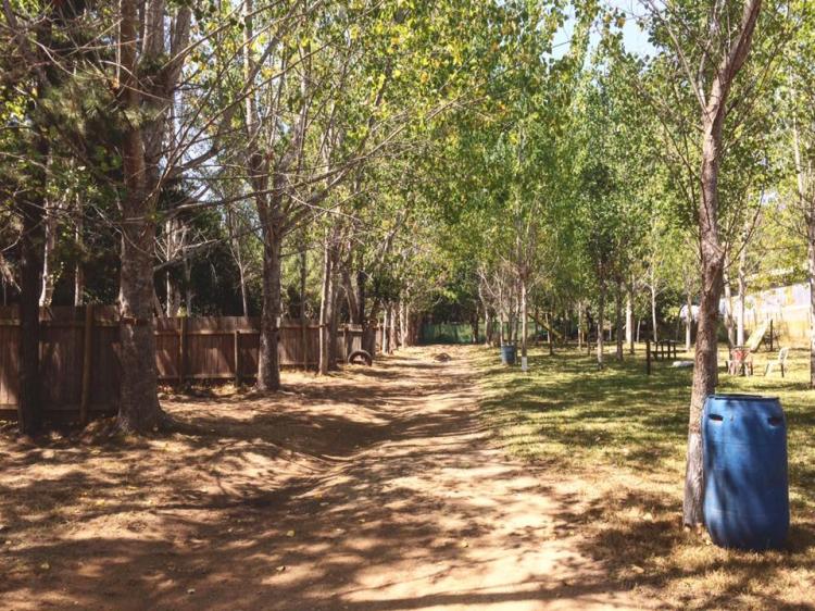 Fotografía 7 de Camping Paula en Vichuquen, Maule