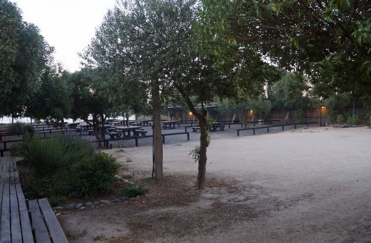 Fotografía 10 de Camping Playa de Matanzas en Navidad, Ohiggins