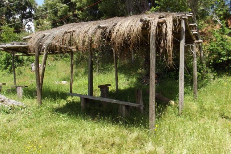 Fotografía 3 de Camping Rayenko en Tirua, Bio Bio