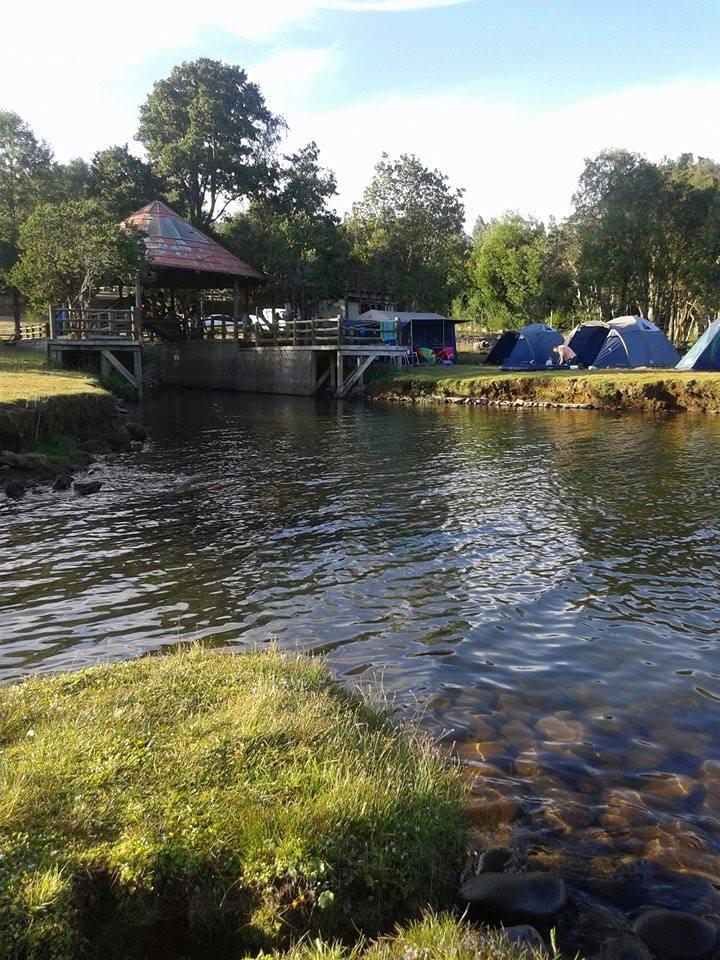 Fotografía 2 de Camping comunitario esteban yevilao en Tirua, Bio Bio