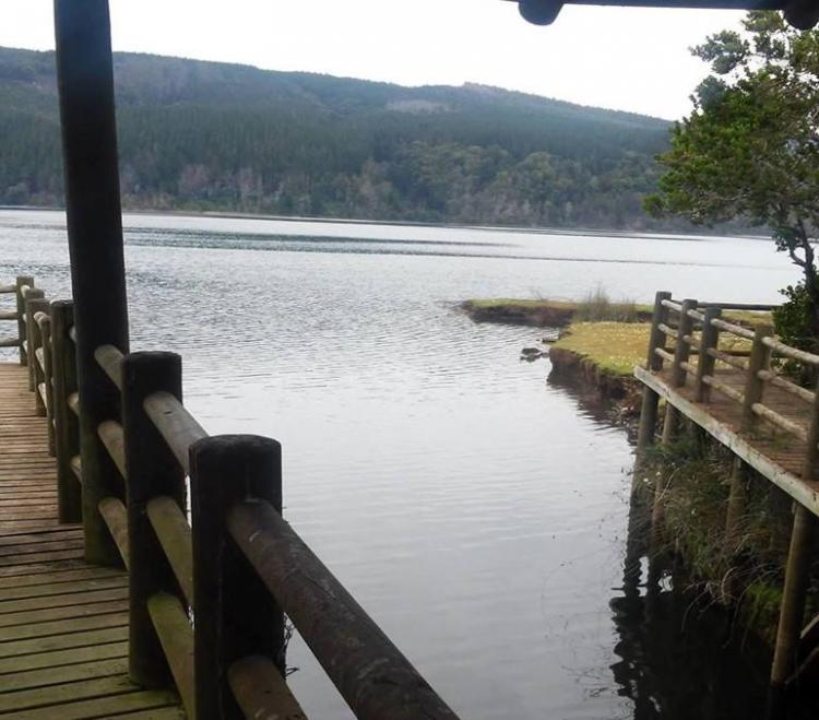 Fotografía 3 de Camping comunitario esteban yevilao en Tirua, Bio Bio