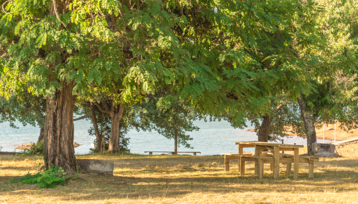 Fotografía 6 de Camping El Mirador de Colbun en Colbun, Maule