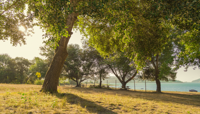 Fotografía 8 de Camping El Mirador de Colbun en Colbun, Maule