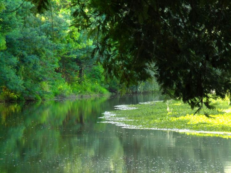 Fotografía 9 de Camping Las Islas en Linares, Maule