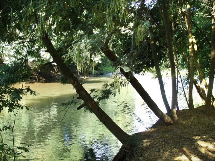 Fotografía 10 de Camping Las Islas en Linares, Maule