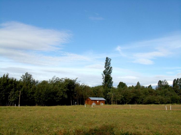 Fotografía 20 de Camping Las Islas en Linares, Maule
