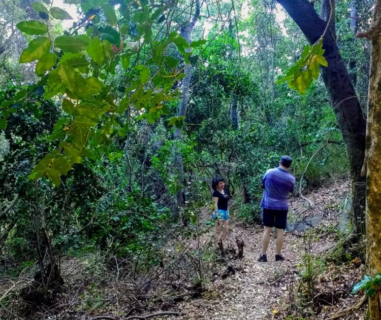 Fotografía 10 de Camping Las Pataguas de Colliguay en Quilpue, Valparaiso