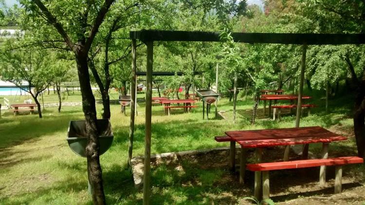 Fotografía 2 de Camping La Cantera en Graneros, Ohiggins