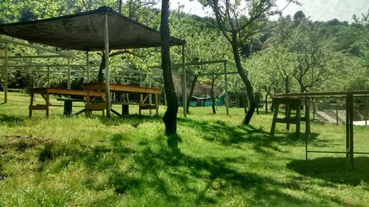 Fotografía 15 de Camping La Cantera en Graneros, Ohiggins