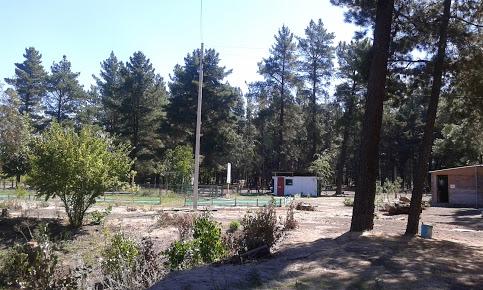 Fotografía 5 de Campamento Bautista Batuquito en Cabrero, Bio Bio