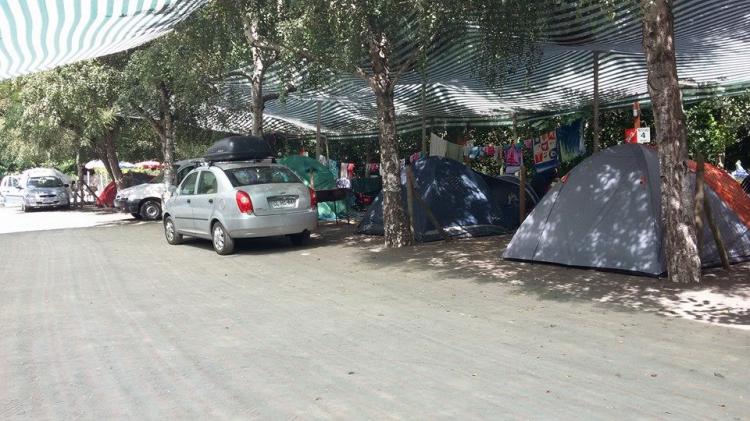 Fotografía 8 de Camping El Rinconcito en Los Angeles, Bio Bio