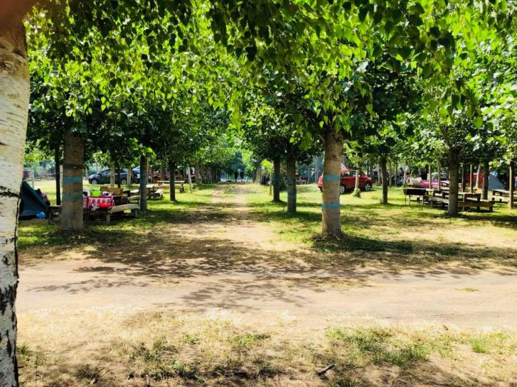 Fotografía 7 de Camping Los Arrayanes en Los Angeles, Bio Bio