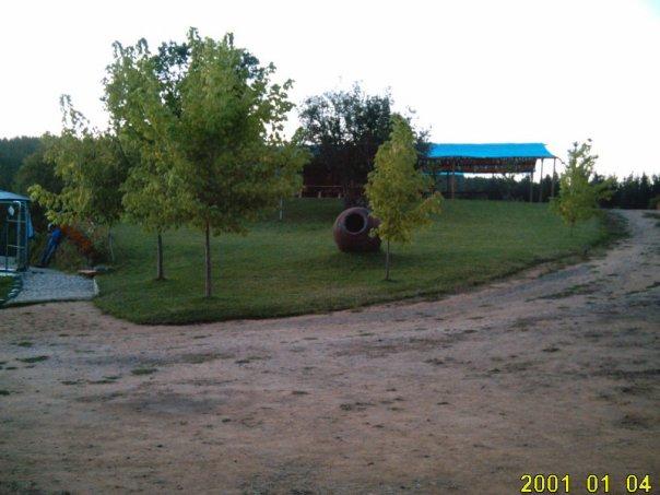 Fotografía 5 de Camping Entre Pinos en Curepto, Maule