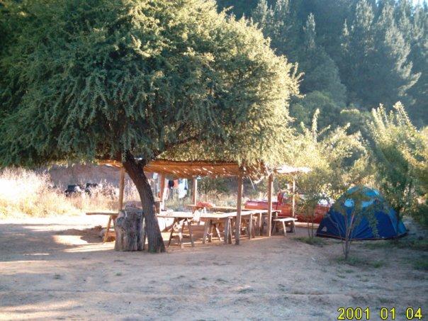 Fotografía 8 de Camping Entre Pinos en Curepto, Maule