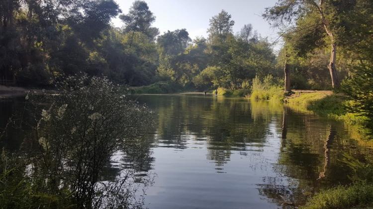 Fotografía 12 de Camping Chitakelindo en Mostazal, Ohiggins
