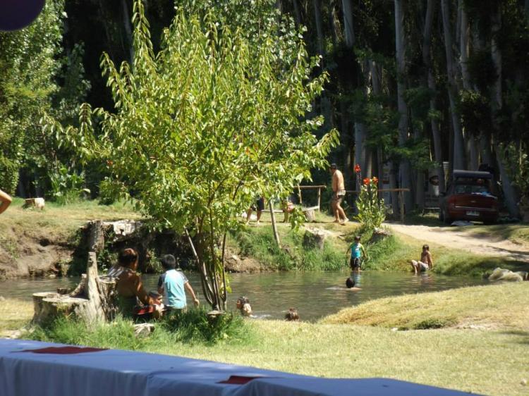 Fotografía 2 de Camping Entre Bosques en Coinco, Ohiggins