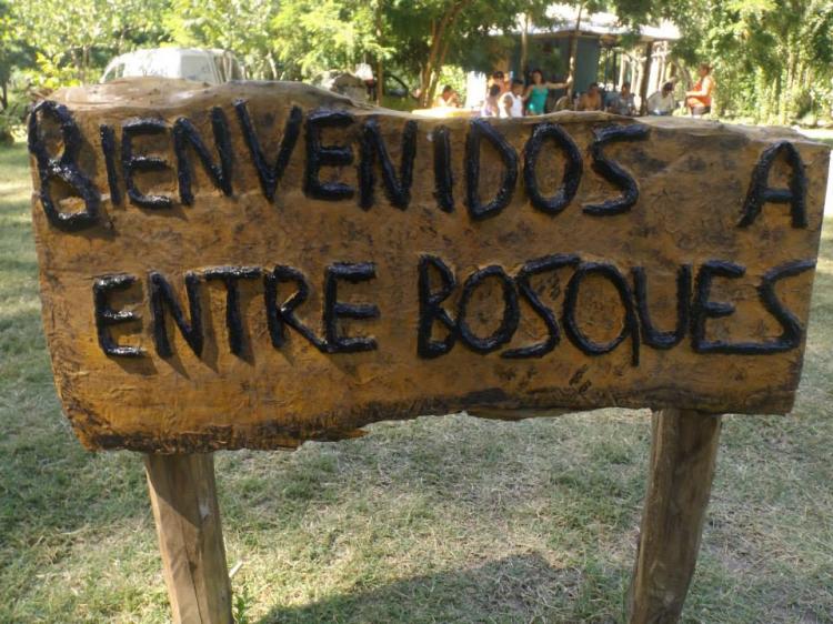 Fotografía 5 de Camping Entre Bosques en Coinco, Ohiggins