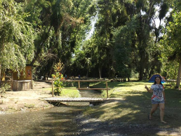 Fotografía 6 de Camping Entre Bosques en Coinco, Ohiggins