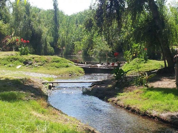 Fotografía 7 de Camping Entre Bosques en Coinco, Ohiggins