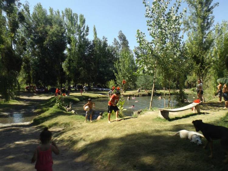 Camping Entre Bosques en Coinco, Ohiggins
