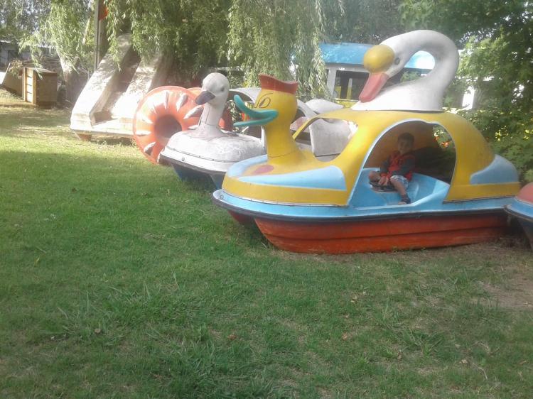 Fotografía 13 de Balneario Bambi en Doñihue, Ohiggins