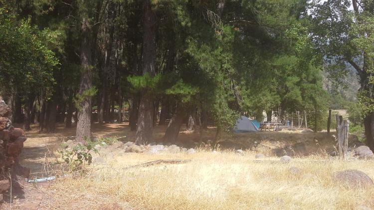 Fotografía 4 de Camping Los Pinos en Romeral, Maule