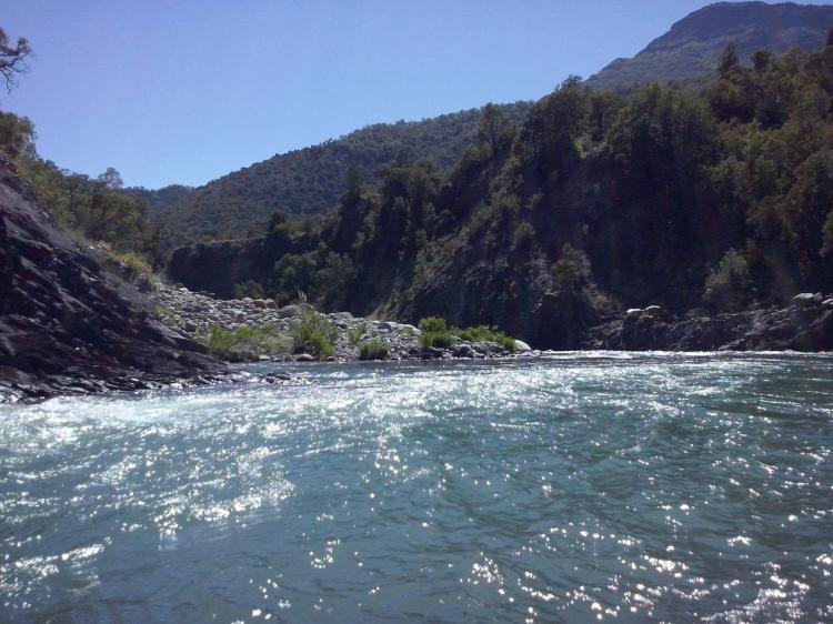 Fotografía 9 de Camping Los Pinos en Romeral, Maule