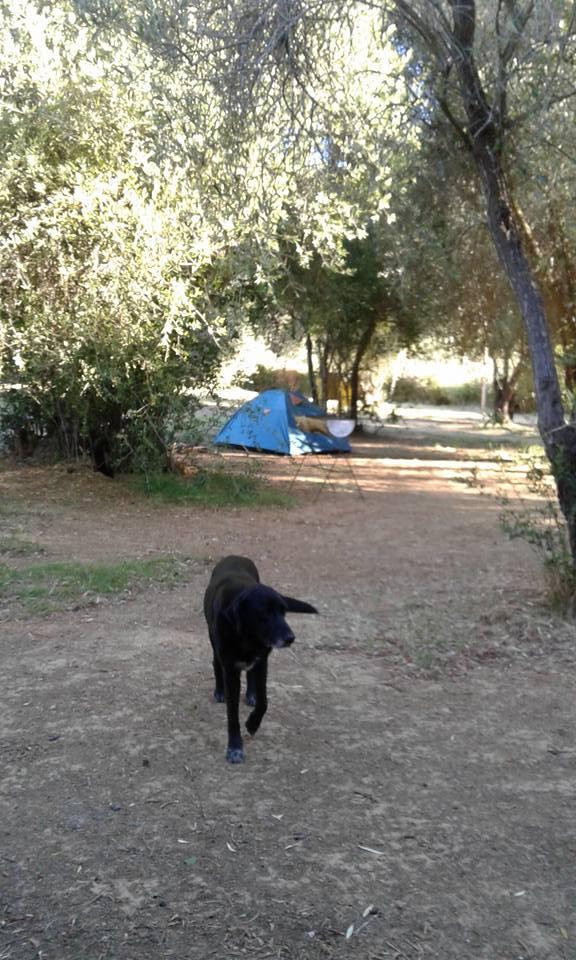Fotografía 2 de Camping Los Olivos Laguna Verde en Valparaiso, Valparaiso