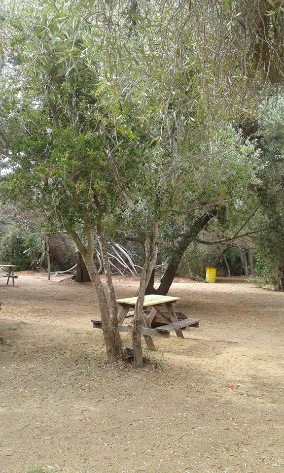 Fotografía 4 de Camping Los Olivos Laguna Verde en Valparaiso, Valparaiso
