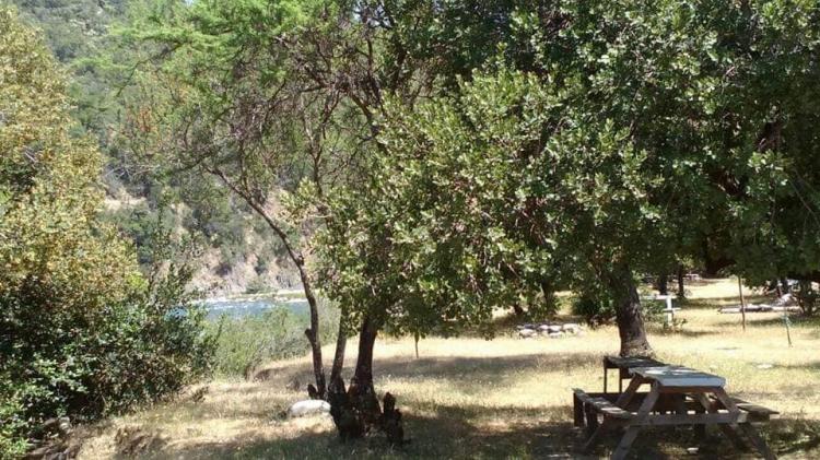 Fotografía 5 de Camping La Cancha Canchita en Linares, Maule