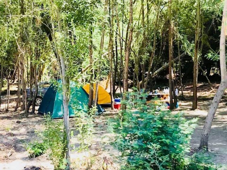 Fotografía 3 de Centro turístico y camping Los Aromos de Achibueno en Linares, Maule
