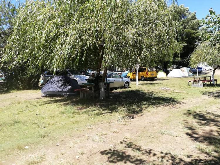 Fotografía 8 de Camping Rankil-co en Tirua, Bio Bio