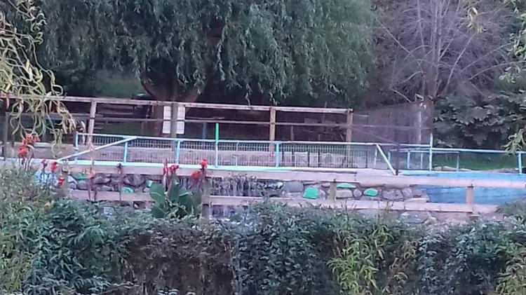 Fotografía 7 de Camping y Balneario Los Baños del Coco en San Fernando, Ohiggins
