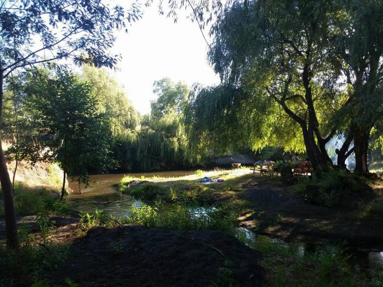 Fotografía 7 de Camping Familiar Parc Aqua Nature en Los Angeles, Bio Bio