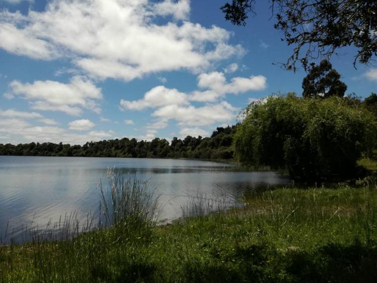 Fotografía 6 de Camping Los Túneles en Cañete, Bio Bio