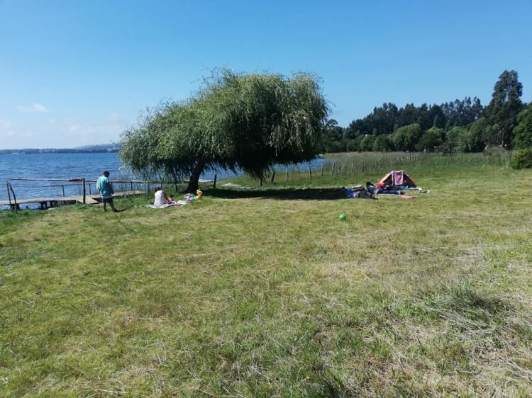 Fotografía 2 de Camping Familiar Antuko en Tirua, Bio Bio