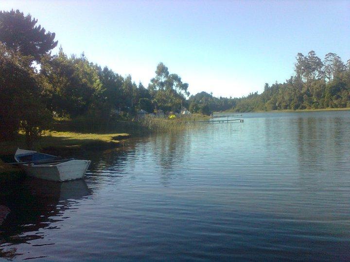 Fotografía 6 de Camping Áom-ko Aguas Tranquilas en Tirua, Bio Bio