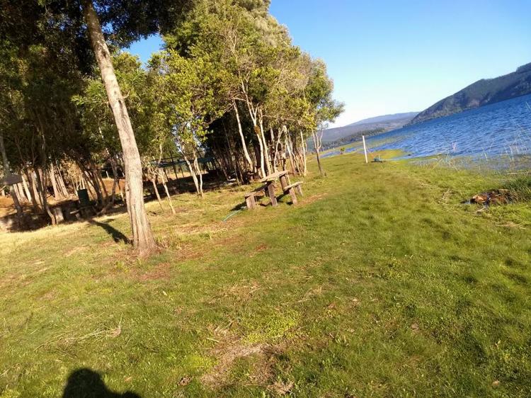 Fotografía 6 de Camping y cabañas Puerto Cuya en Tirua, Bio Bio