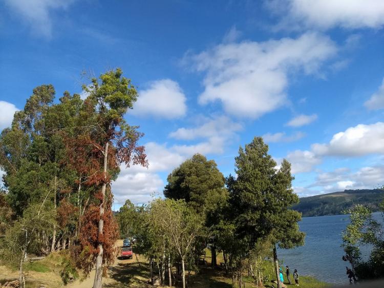 Fotografía 8 de Camping y cabañas Puerto Cuya en Tirua, Bio Bio