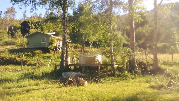Fotografía 12 de Camping San Ignacio (Turismo Aukinko Leubu) en Contulmo, Bio Bio