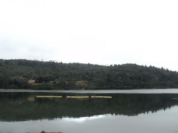 Camping Piedra Lisa en Contulmo, Bio Bio