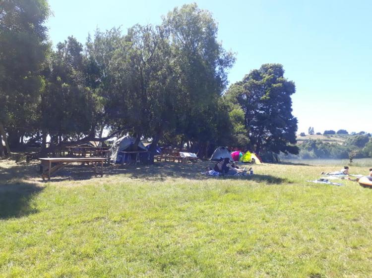 Fotografía 5 de Camping Tren Trenko en Cañete, Bio Bio