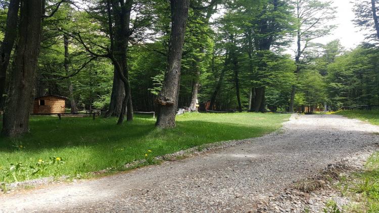 Fotografía 4 de Camping Laguna Chiguay en Coyhaique, Aysen